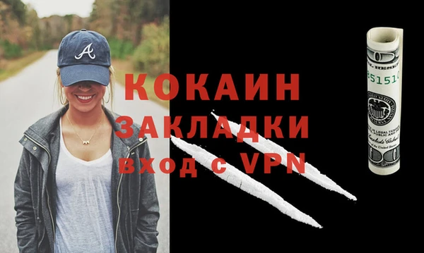прущие грибы Богородск