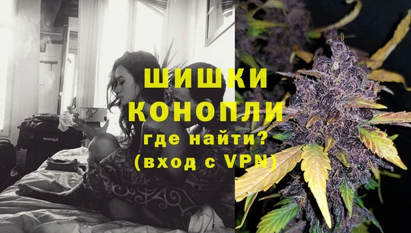 прущая мука Богданович
