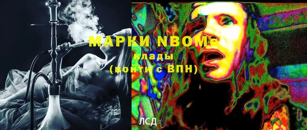прущие грибы Богородск