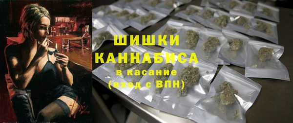 PSILOCYBIN Богородицк