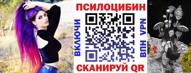 Псилоцибиновые грибы GOLDEN TEACHER  наркошоп  Чегем 